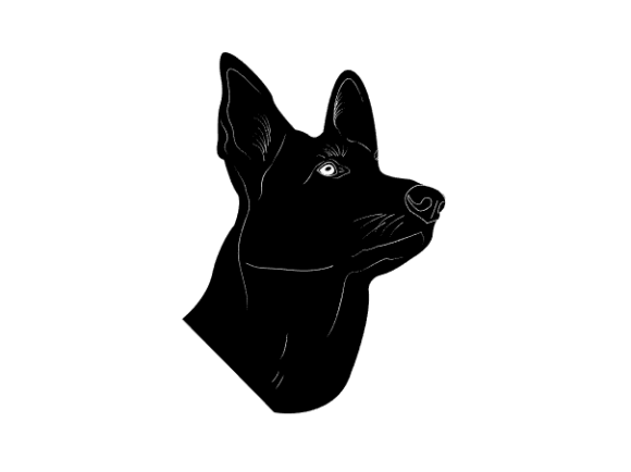 Download Strict Dog. - Strict Collection